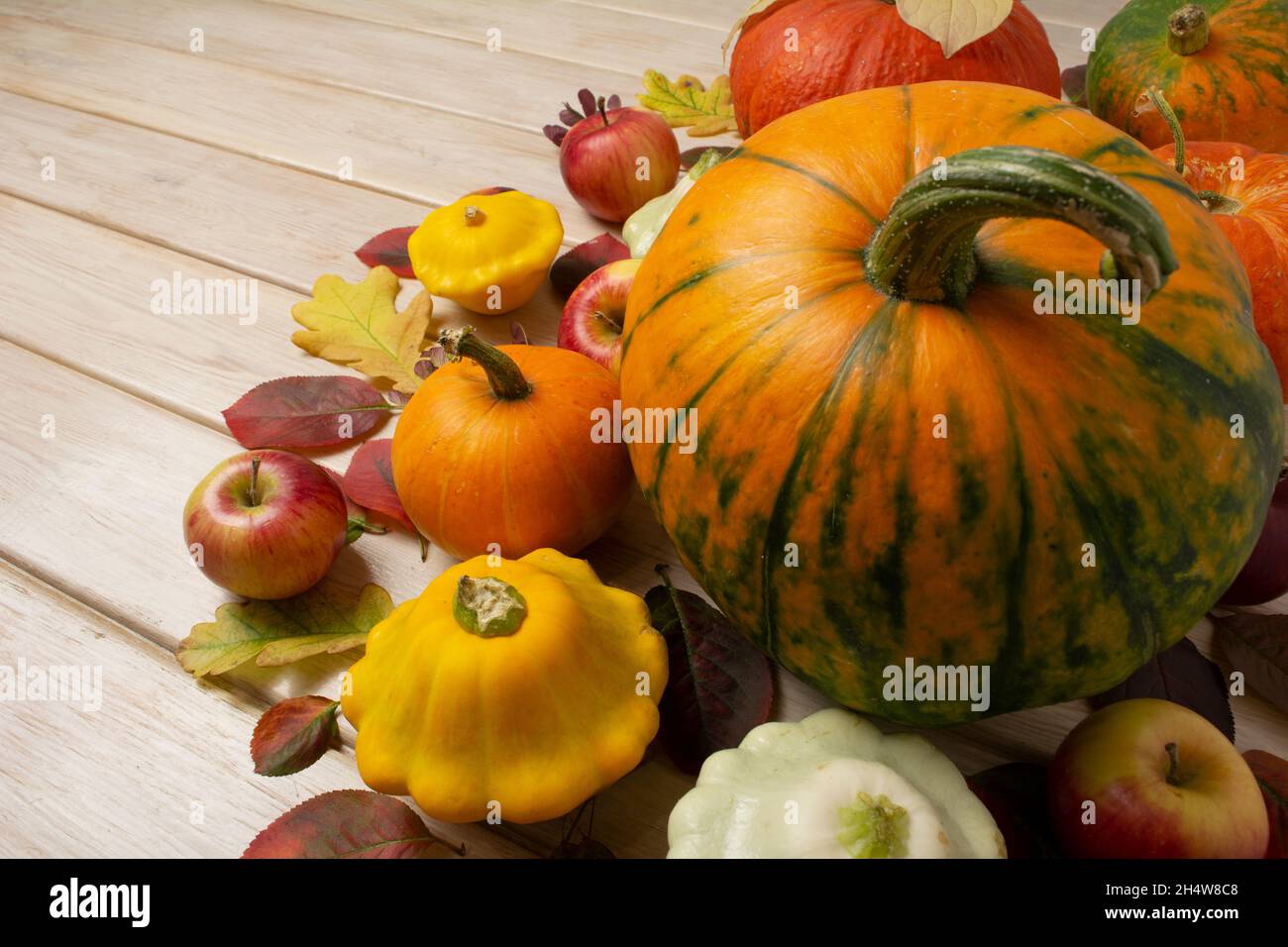 Thanksgiving background with small and big pumpkins, yellow squash and apples on the white wooden table, copy space Stock Photo