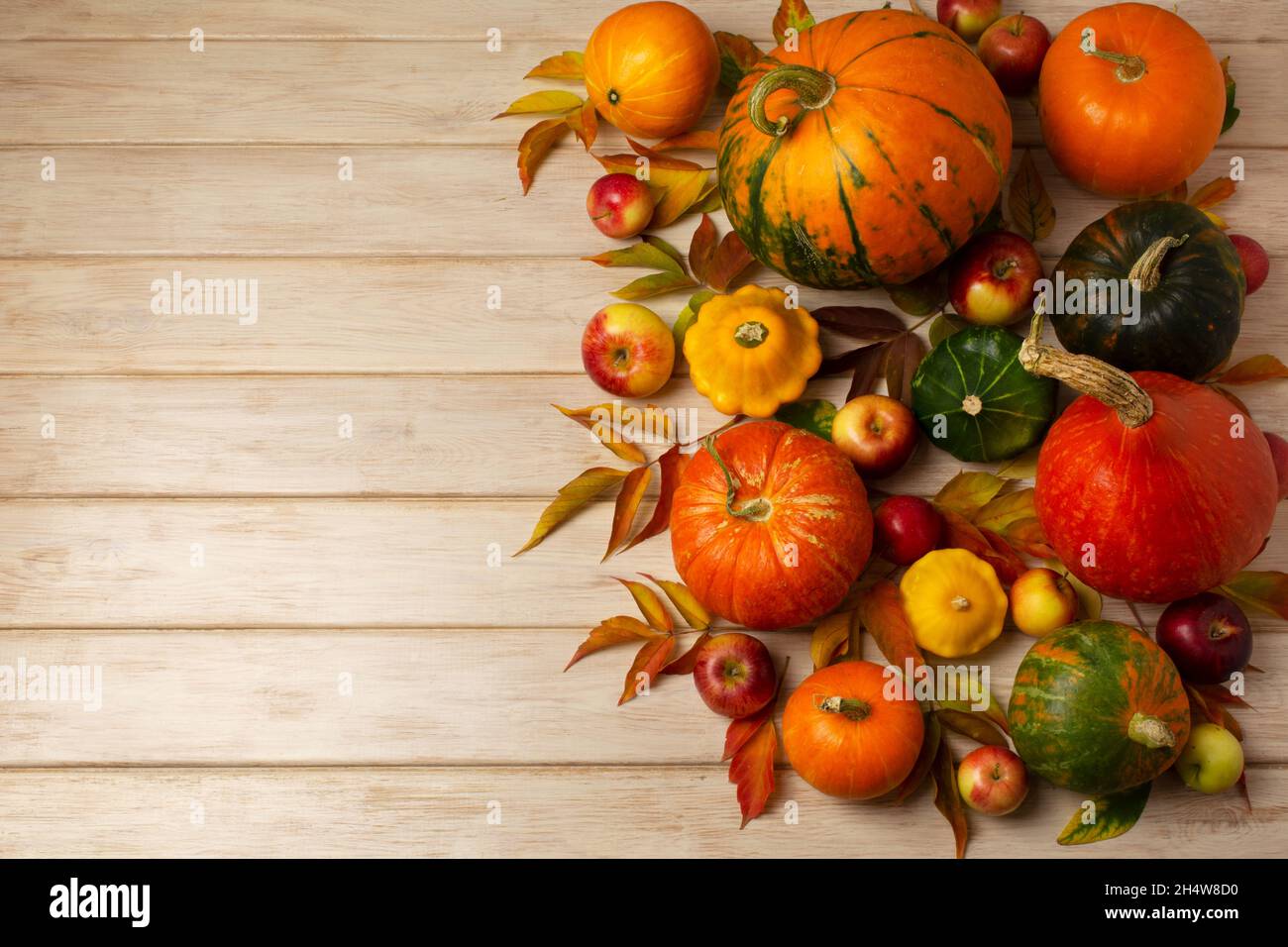 Thanksgiving arrangement with red, green, orange, striped pumpkins, fall leaves, yellow squashes on the white wooden table, copy space Stock Photo