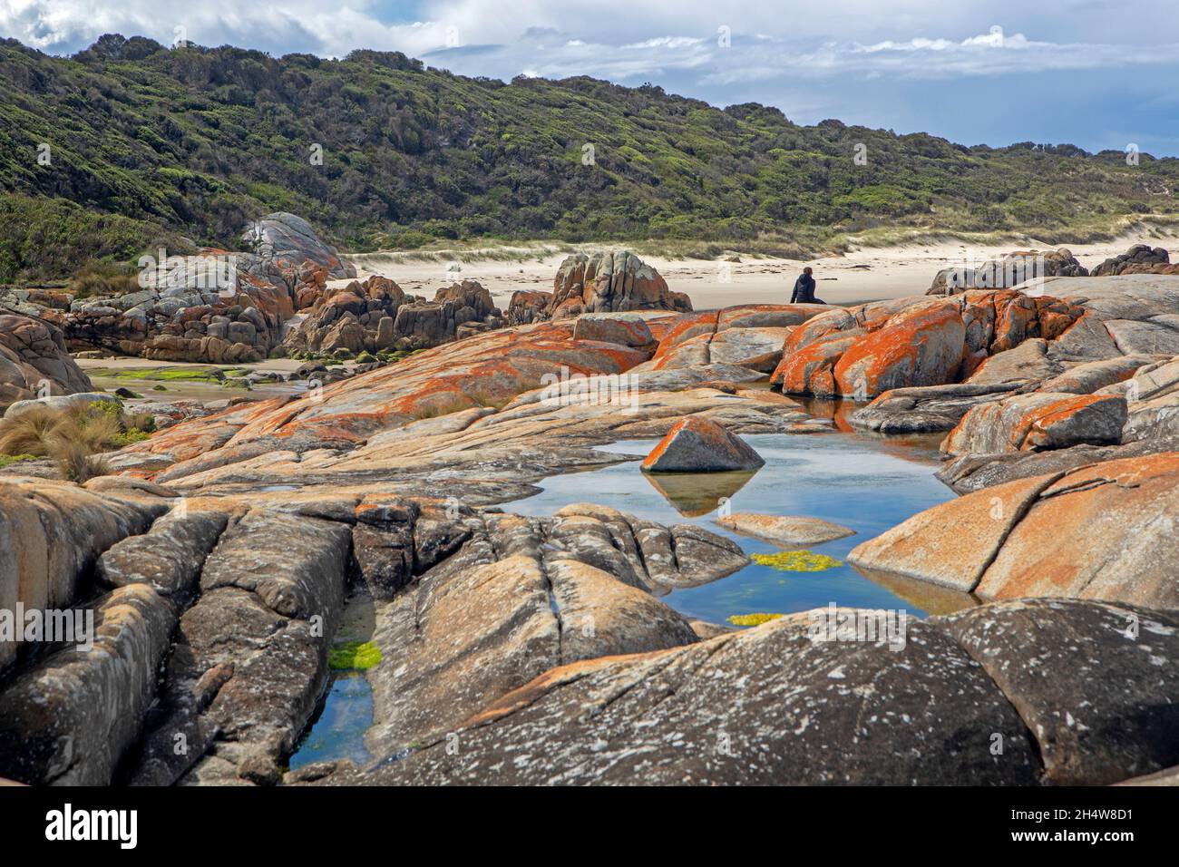 Beerbarrel Beach, St Helens Point Stock Photo Alamy