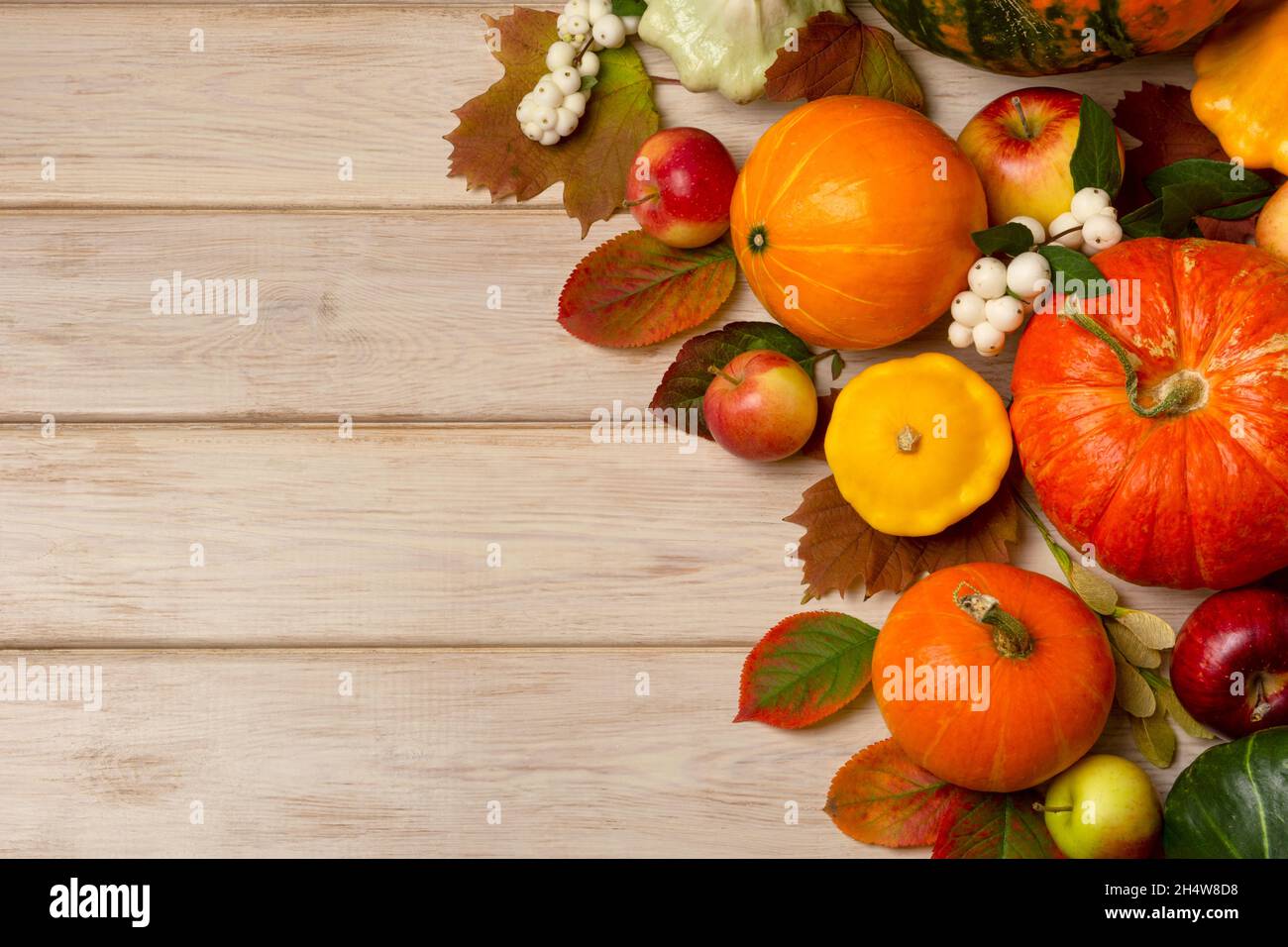 Thanksgiving background with orange pumpkins, snowberry, leaves, yellow squashes on the white wooden table, copy space Stock Photo