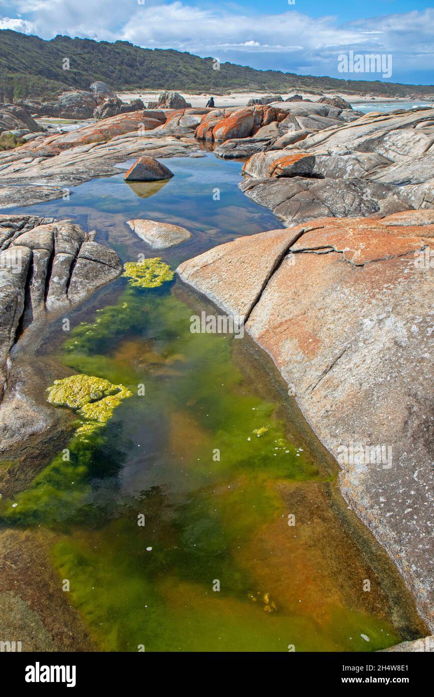 Beerbarrel Beach, St Helens Point Stock Photo Alamy