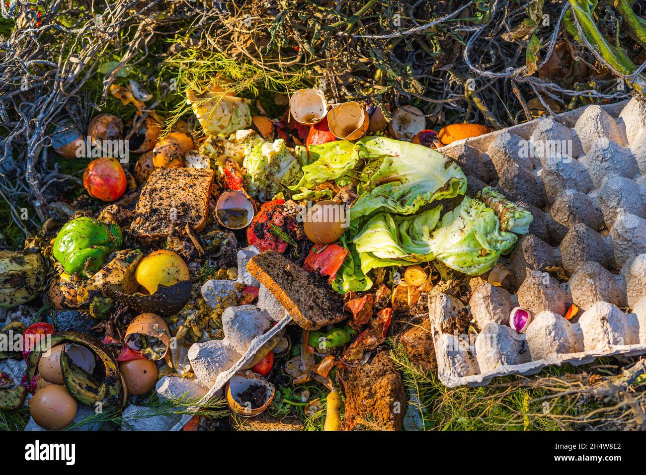 Recycling household food waste to create organic fertilizer in the