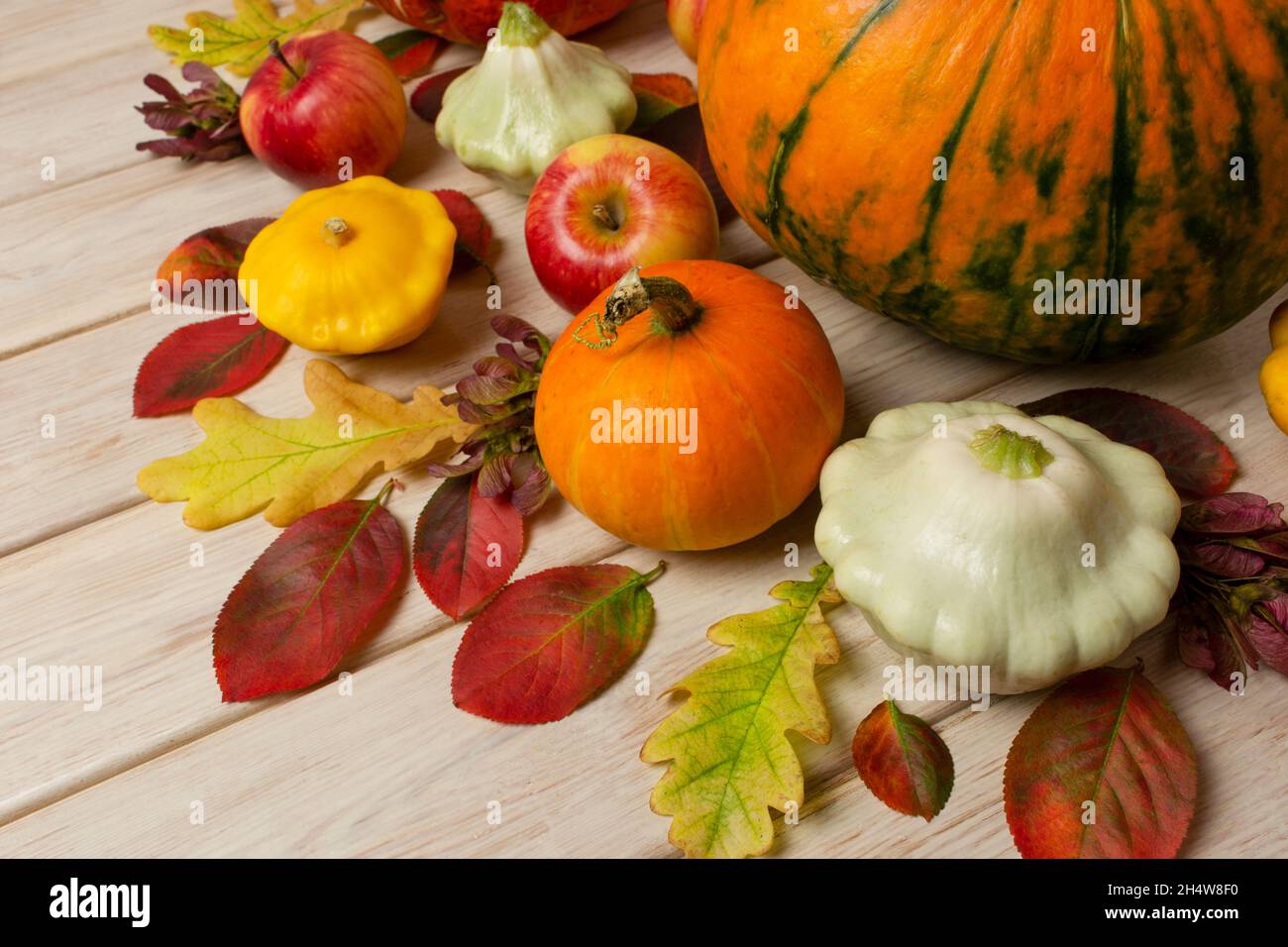 Thanksgiving centerpiece with small pumpkin, oak leaves, yellow and white squash and on the white wooden table Stock Photo