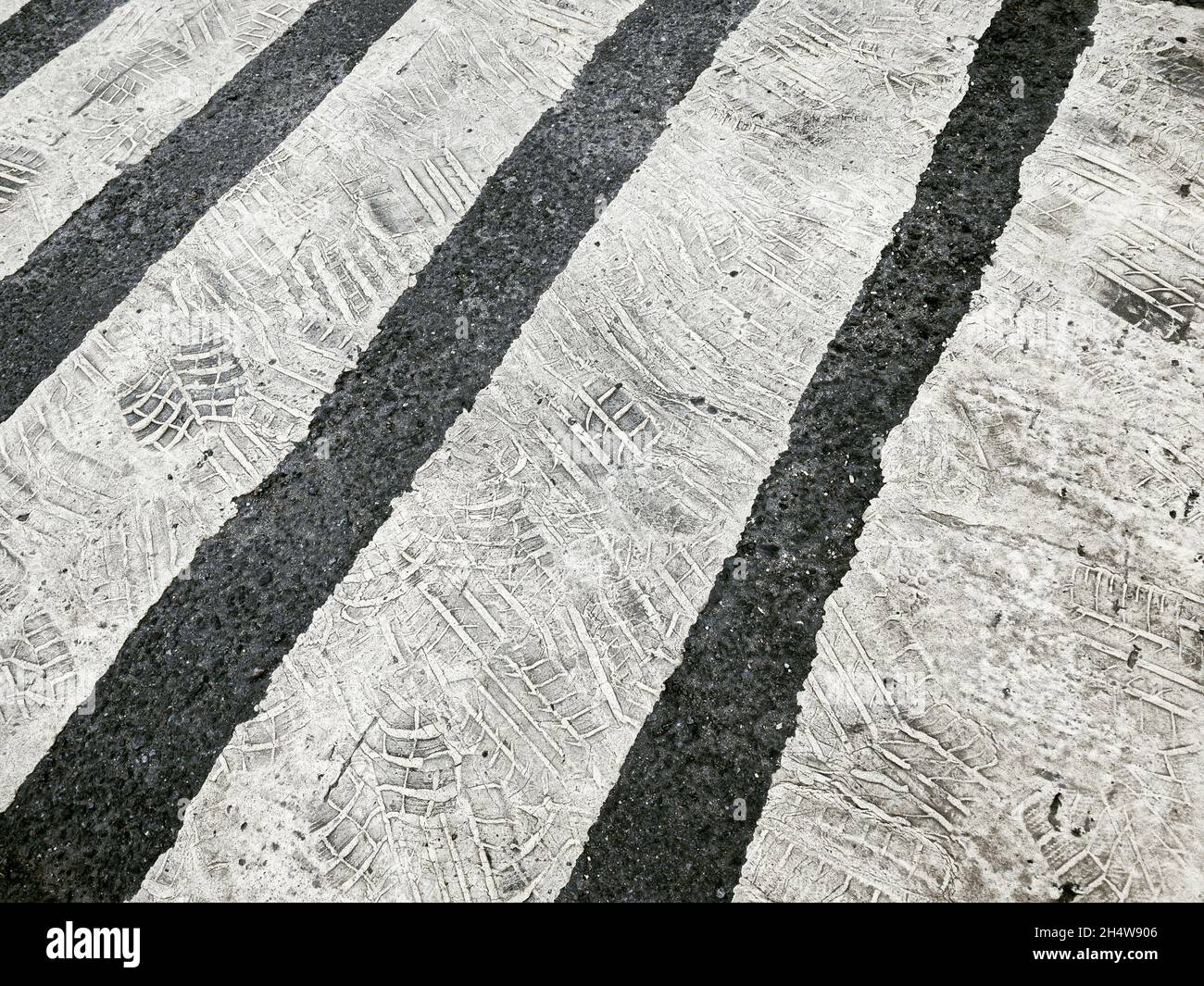 old zebra crossing on the city road with multiple imprints of tires Stock Photo