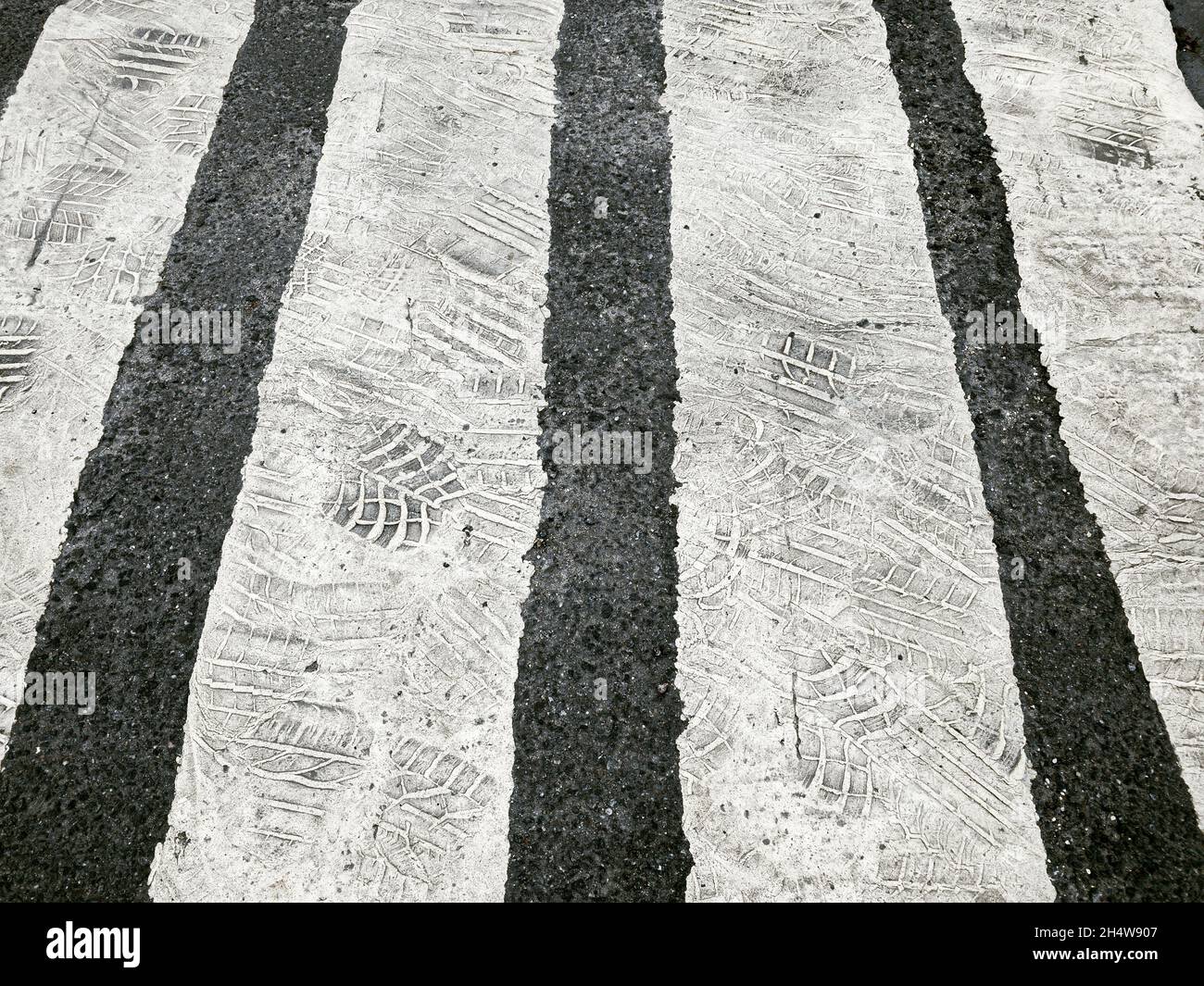 white zebra crossing. old road marking with imprints of tires. Stock Photo