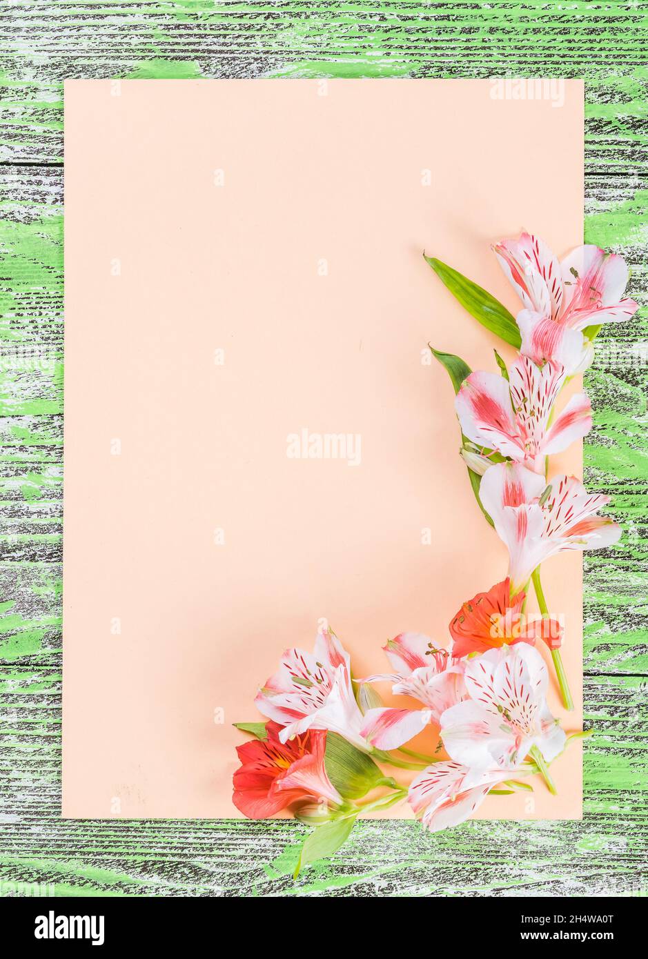 Floral paper hi-res stock photography and images - Page 2 - Alamy