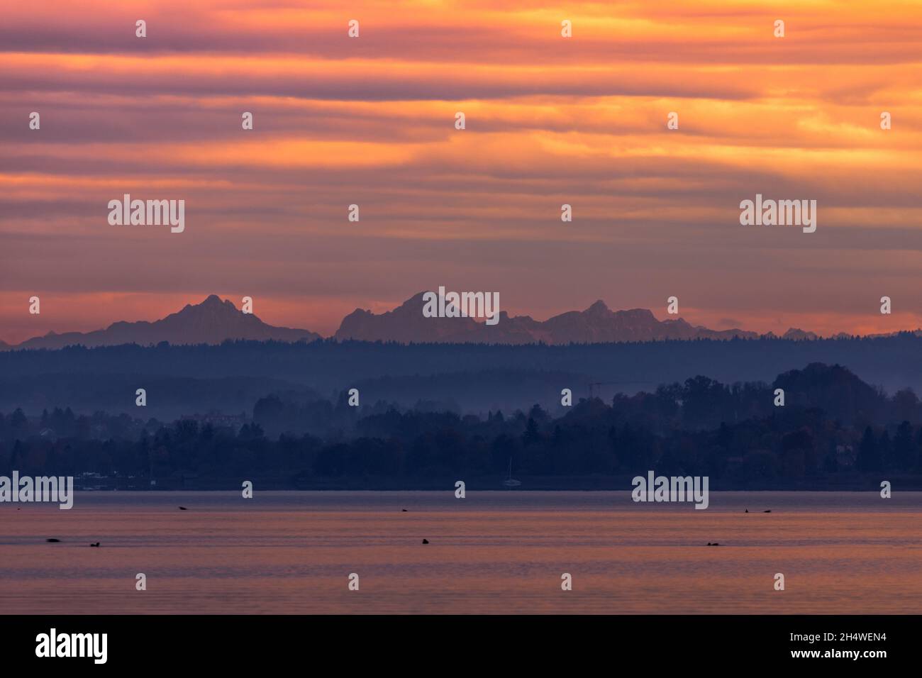 View to the Alps from Lake Ammersee at sunset, Bavaria, Germany Stock Photo