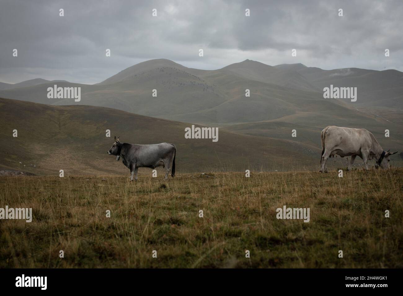 Abruzzo, Italy. Stock Photo