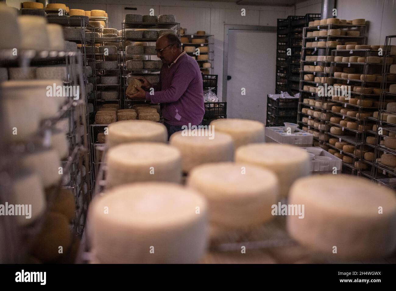 Pecorino cheese making in Abruzzo, Italy. Stock Photo