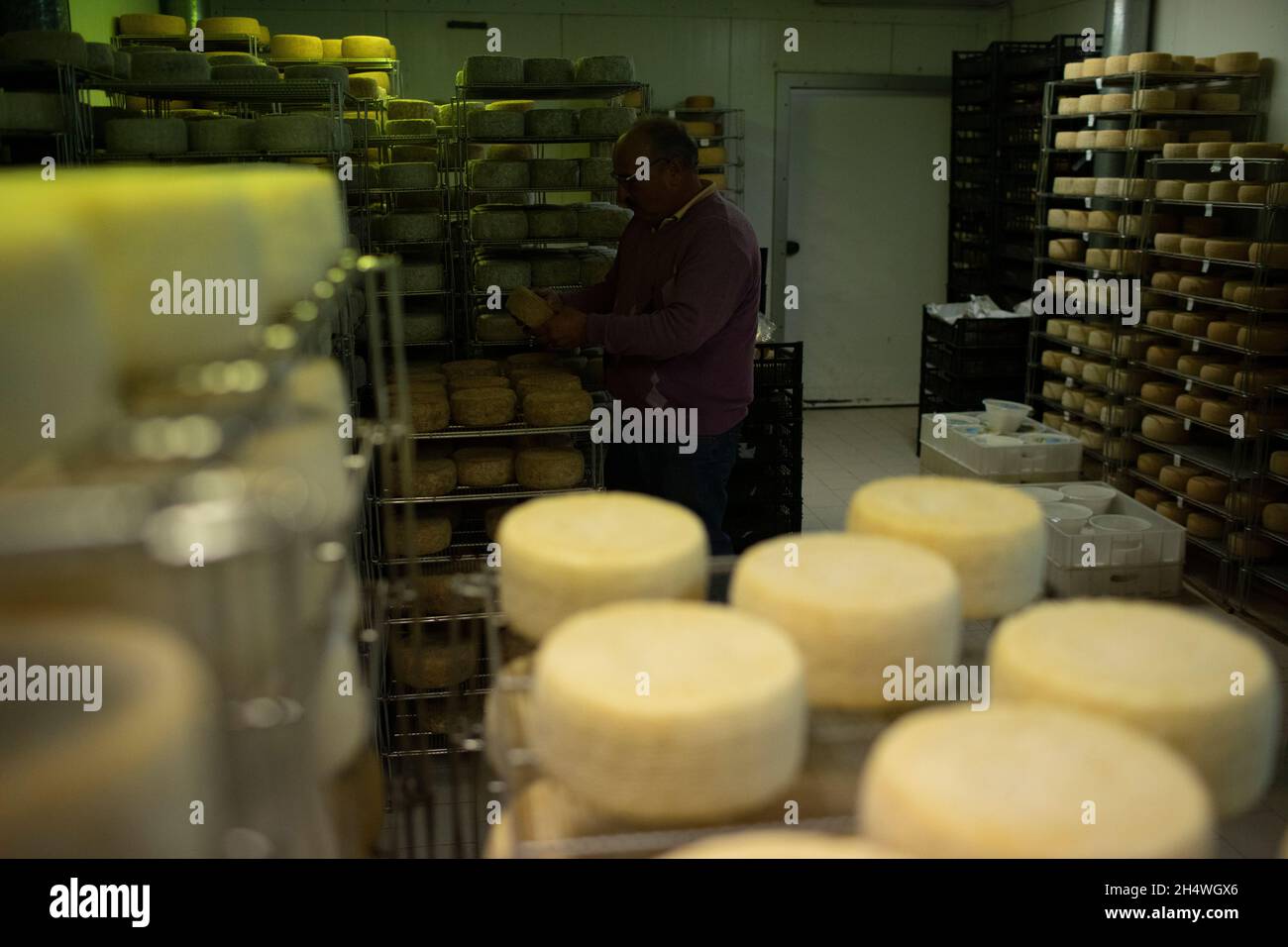 Pecorino cheese making in Abruzzo, Italy Stock Photo Alamy