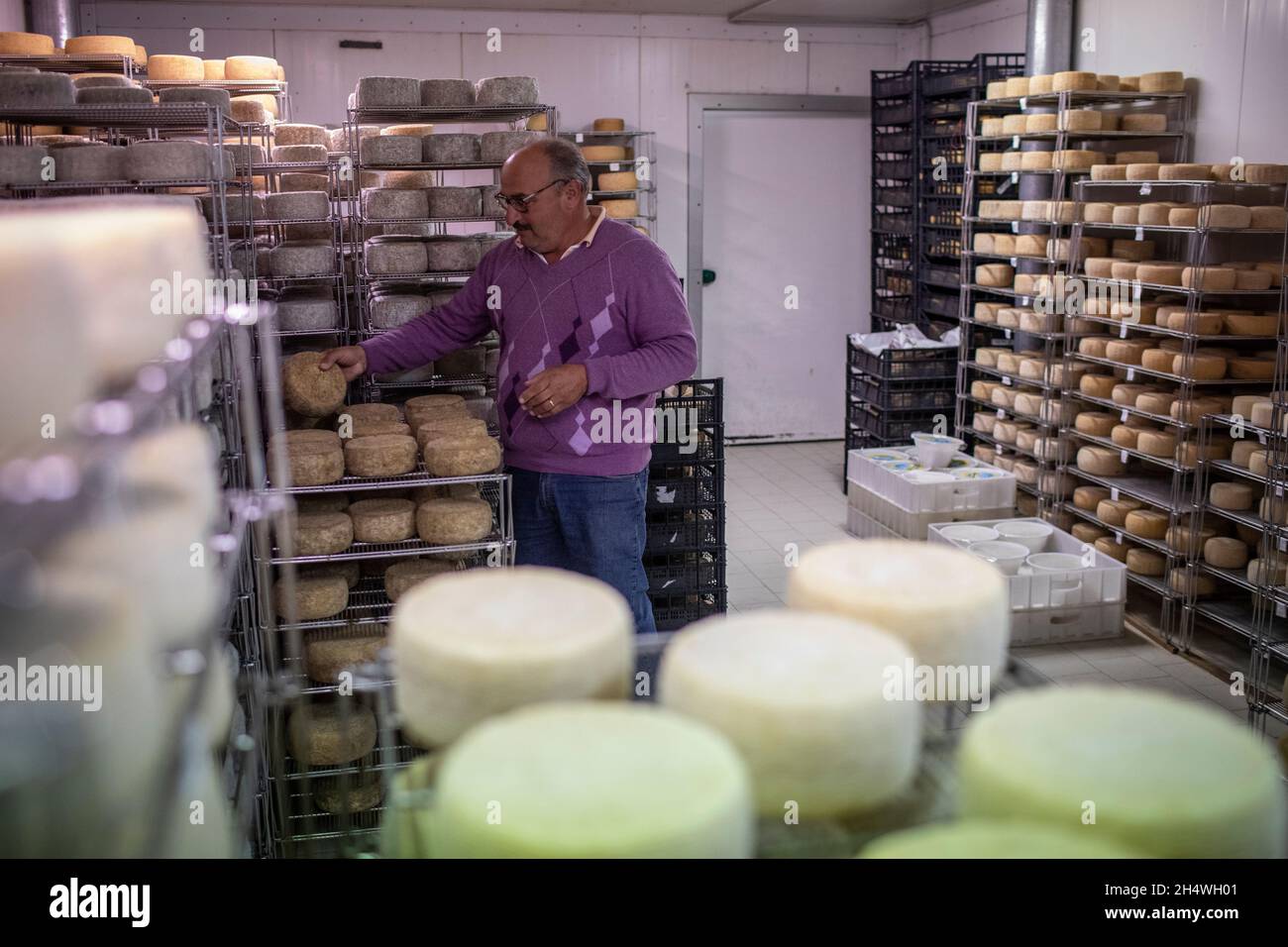 Pecorino cheese making in Abruzzo, Italy Stock Photo Alamy
