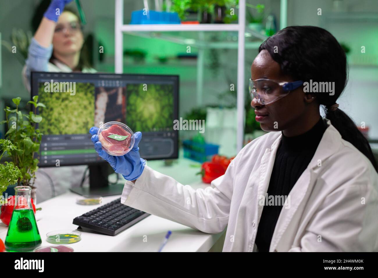 Chemist woman analyzing vegan beef hi-res stock photography and images ...