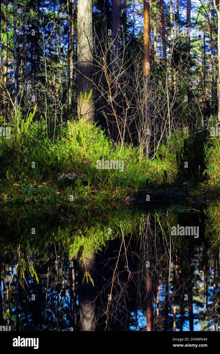 Vertical shot grass landscape hi-res stock photography and images - Alamy