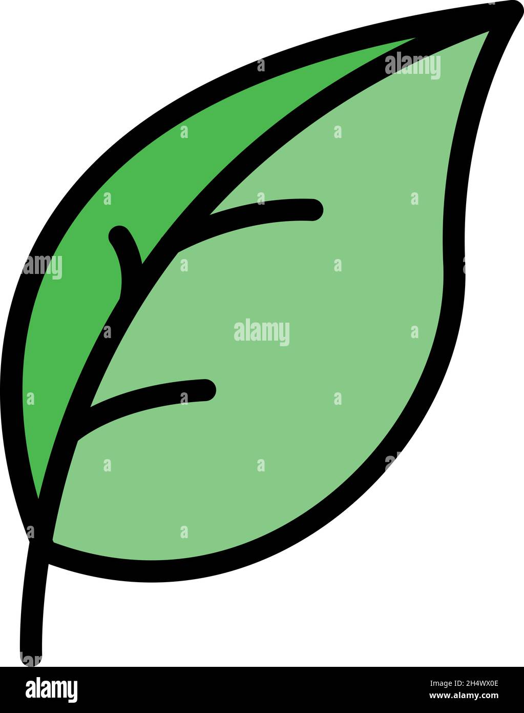 Basil leaf farm icon. Outline basil leaf farm vector icon color flat