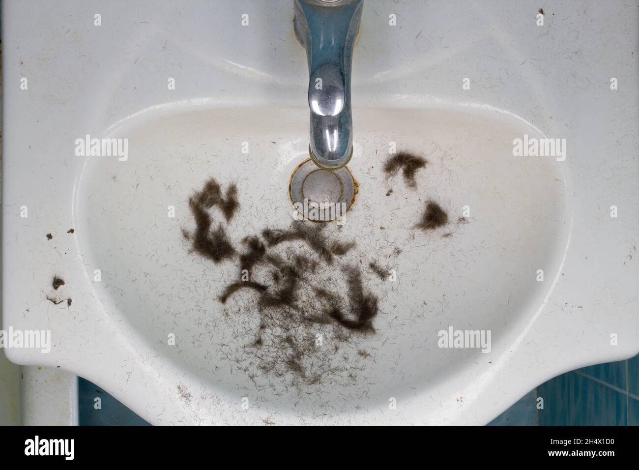 Dirty Bathroom sink with hair after shaving. Freshly cut hair from the