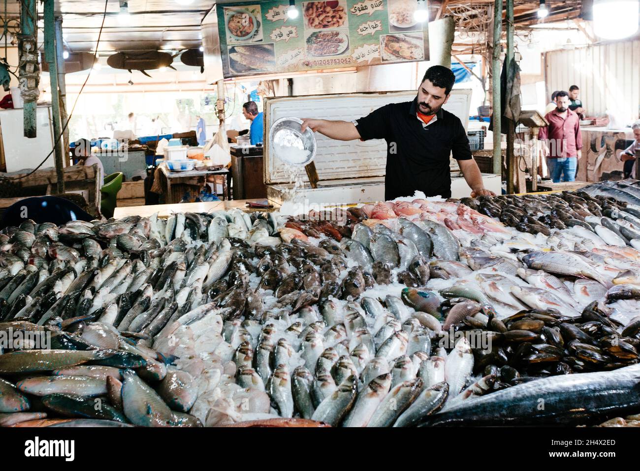 HURGHADA, EGYPT OCTOBER 31, 2021 A man pours water onto fish on the