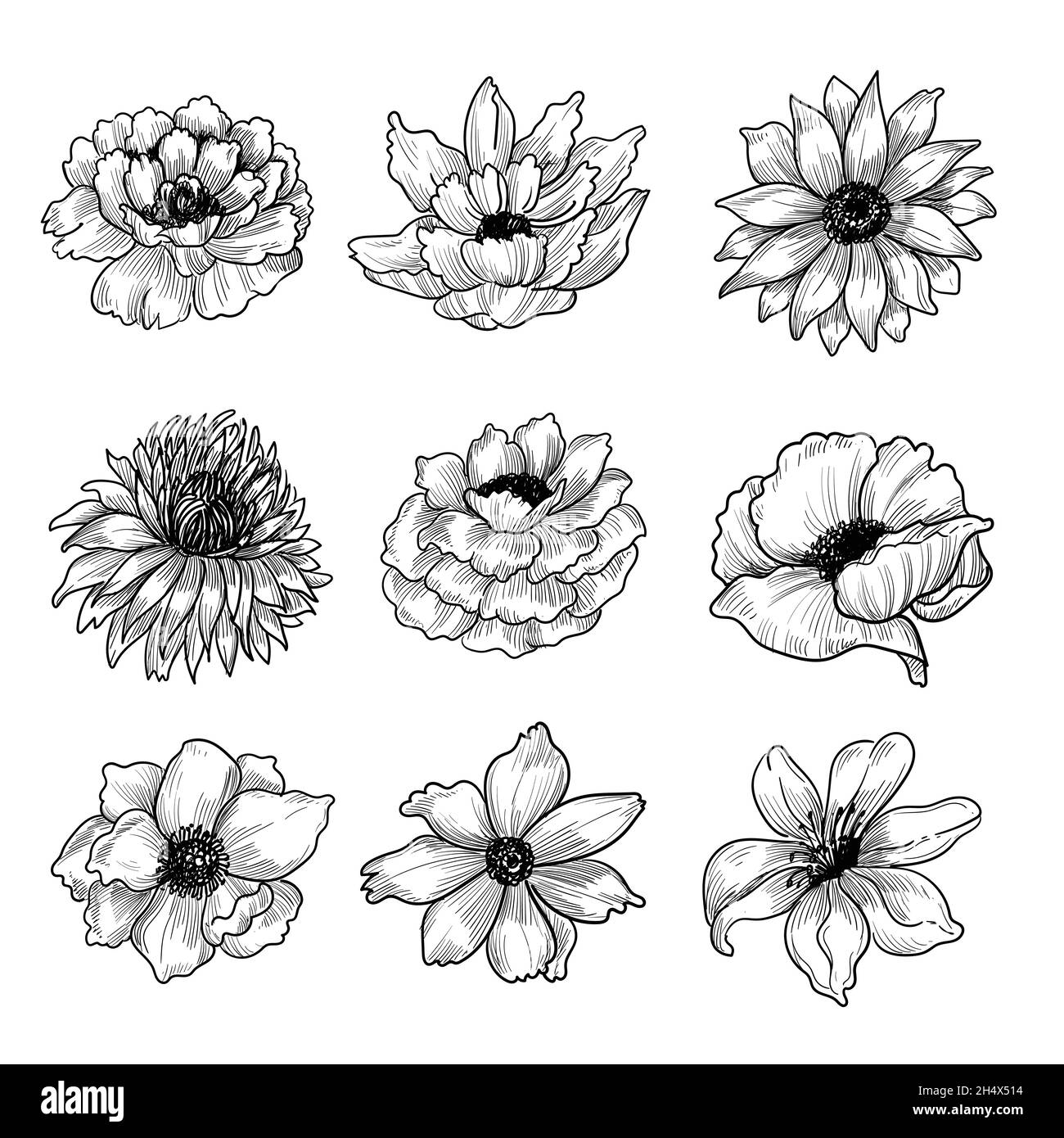 Decorative floral sketch set design Stock Vector Image & Art Alamy