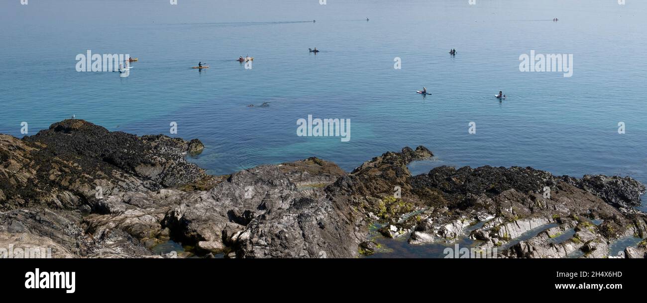 A panoramic image of holidaymakers on kayaks, canoes and Stand Up Paddleboards on a calm placid sea in Newquay Bay in North Cornwall coast. Stock Photo
