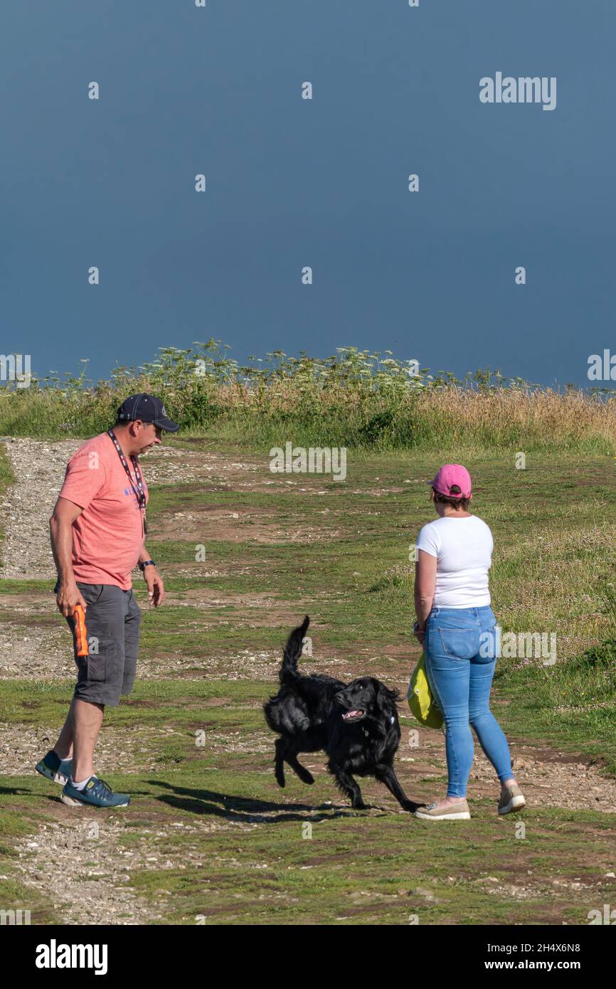 A couple training their black Labrador dog on Pentire Point East in Newquay in Cornwall. Stock Photo