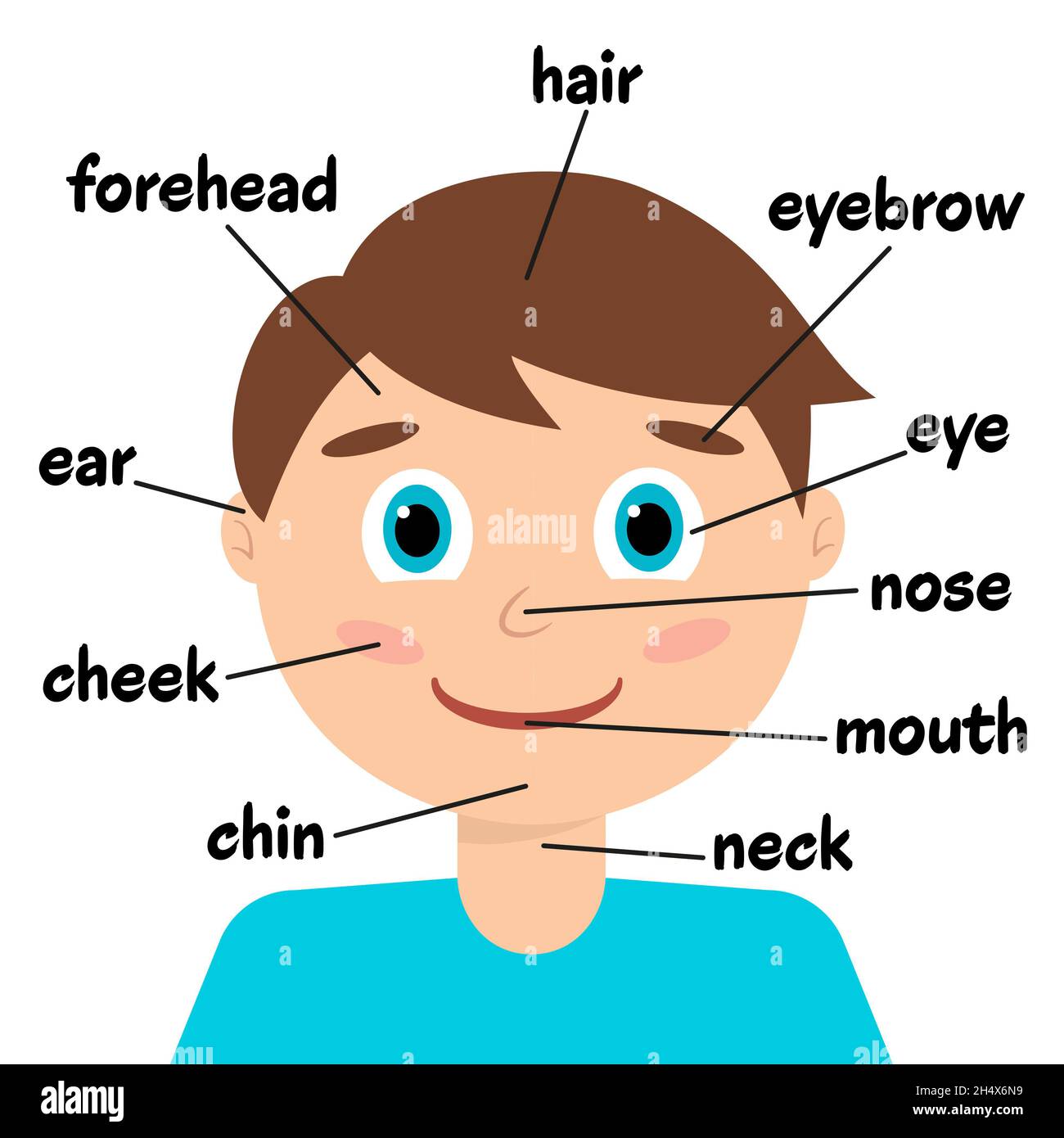 Decaer profundo Imitación partes del rostro en ingles y español Lengua