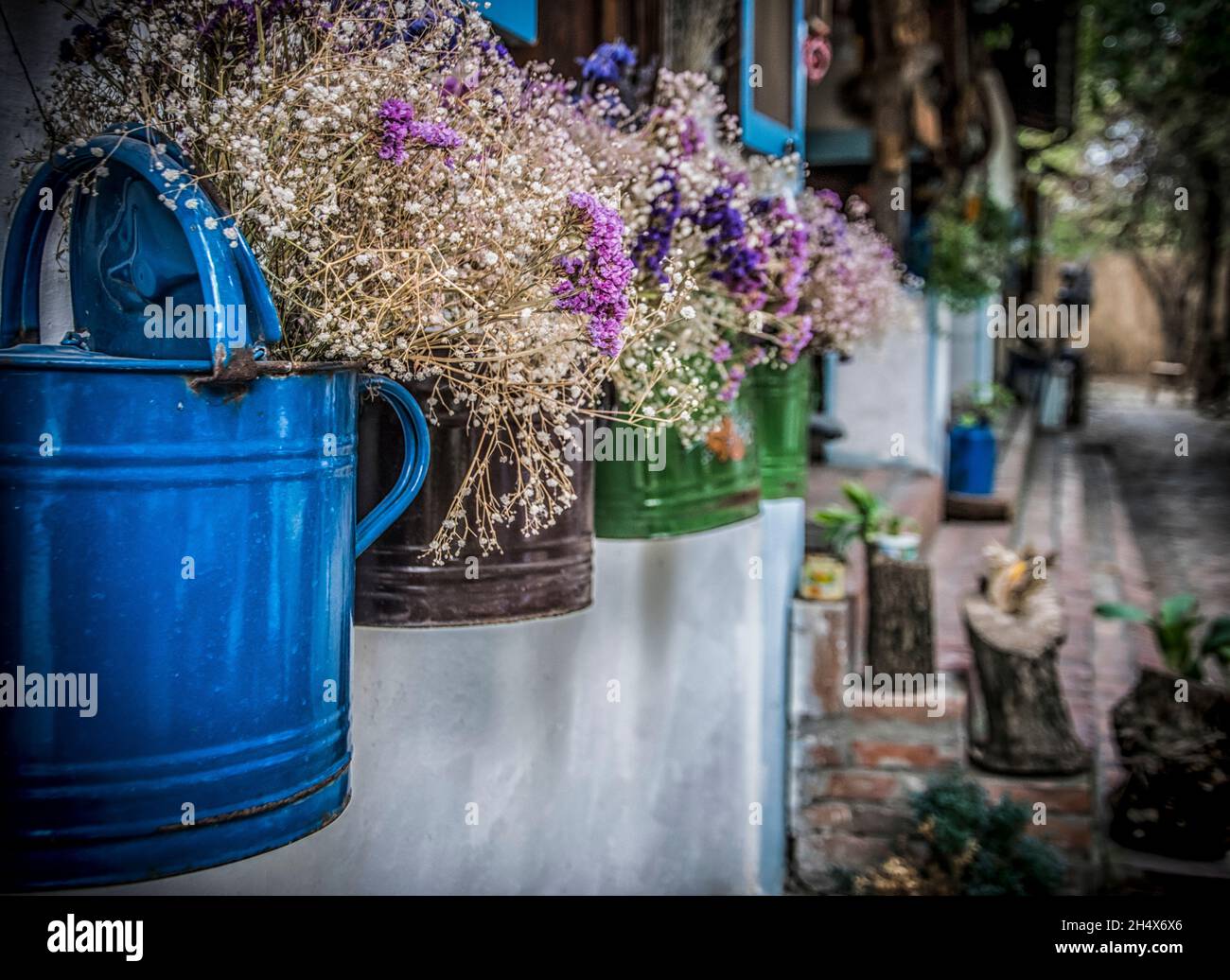 Dry flowers in decorative flower pots in the countryside Stock Photo