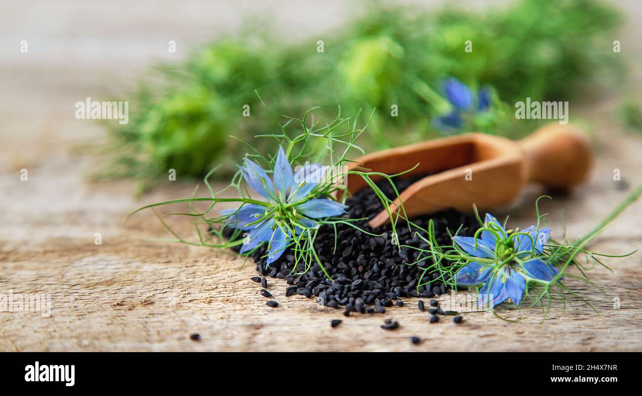 Black cumin seeds and flowers. Selective focus. Nature. Stock Photo