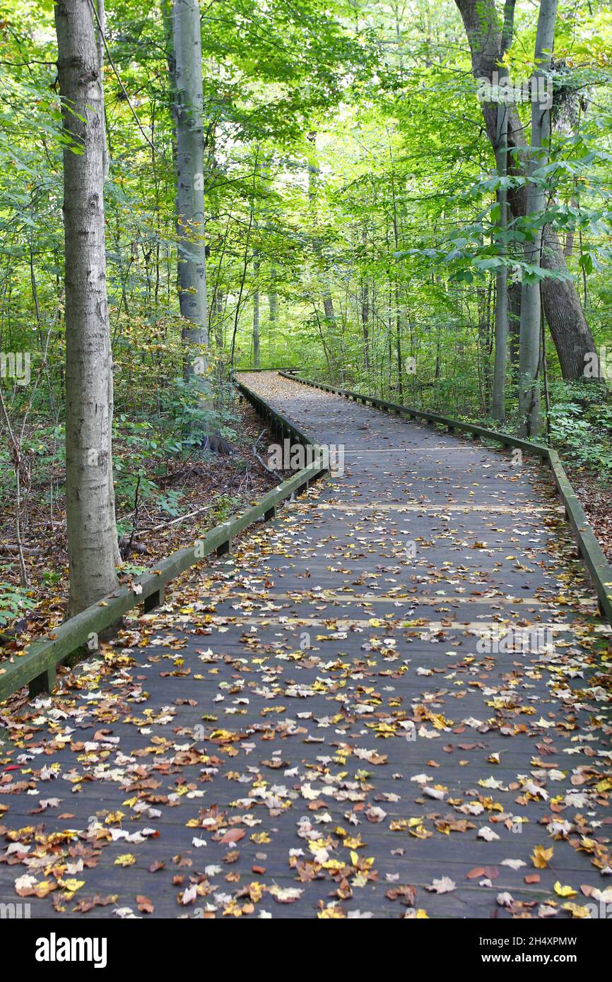 Vertical shot one beautiful hi-res stock photography and images - Alamy