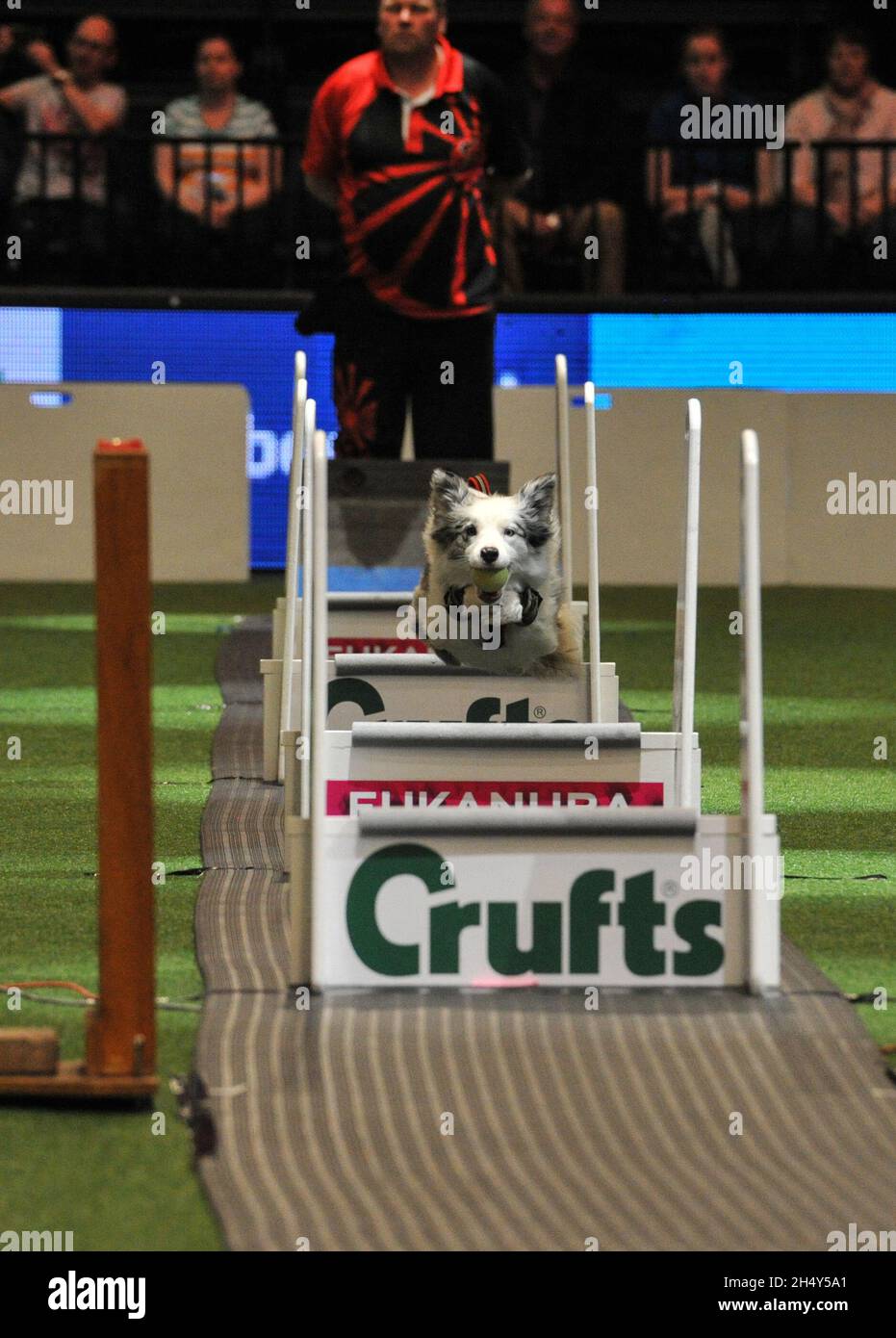 Crufts store flyball 2019