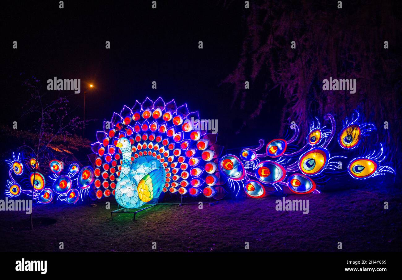 Birmingham botanical gardens christmas hires stock photography and images Alamy