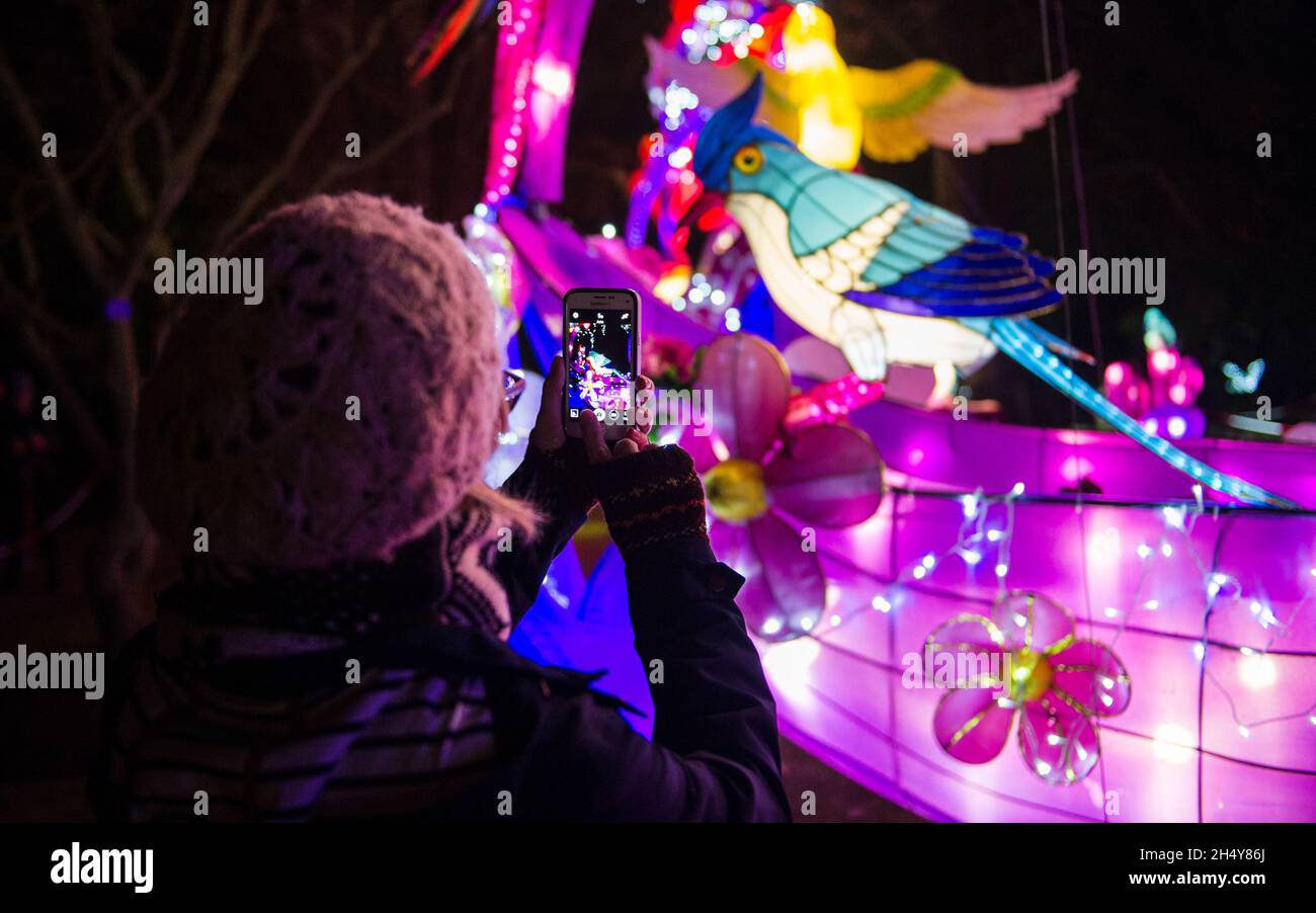 Birmingham botanical gardens christmas hires stock photography and images Alamy
