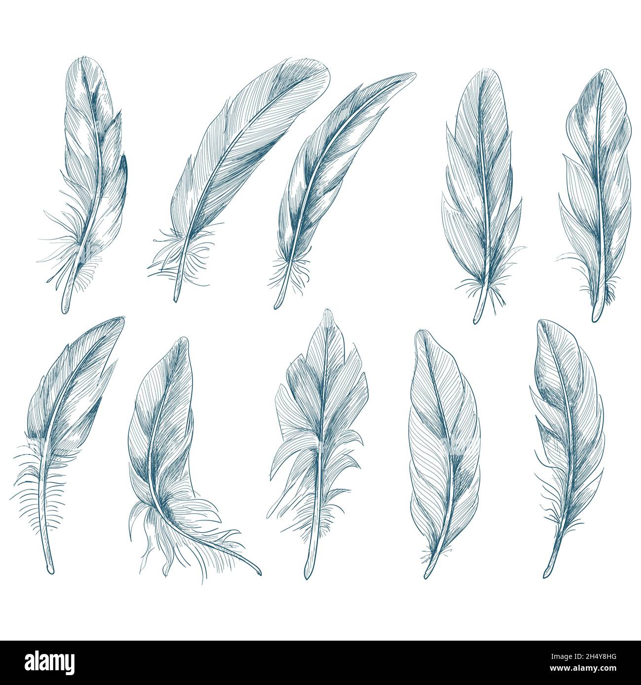 Hand drawn feathers set on white background Stock Vector Image & Art ...