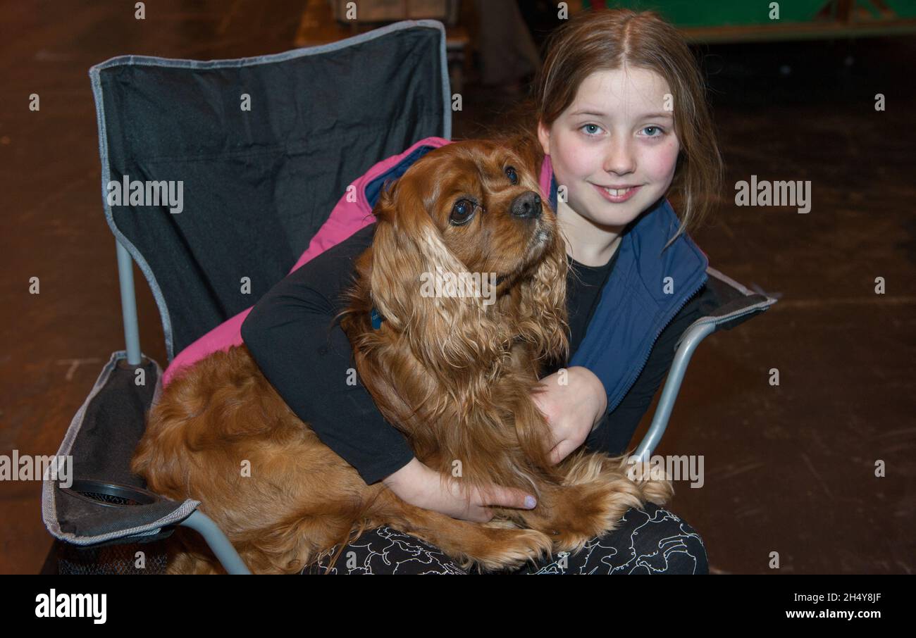 Second day of Crufts 2017 dog show at the NEC in Birmingham, UK. Picture date: Friday 10 March, 2017. Photo credit: Katja Ogrin/ EMPICS Entertainment. Stock Photo