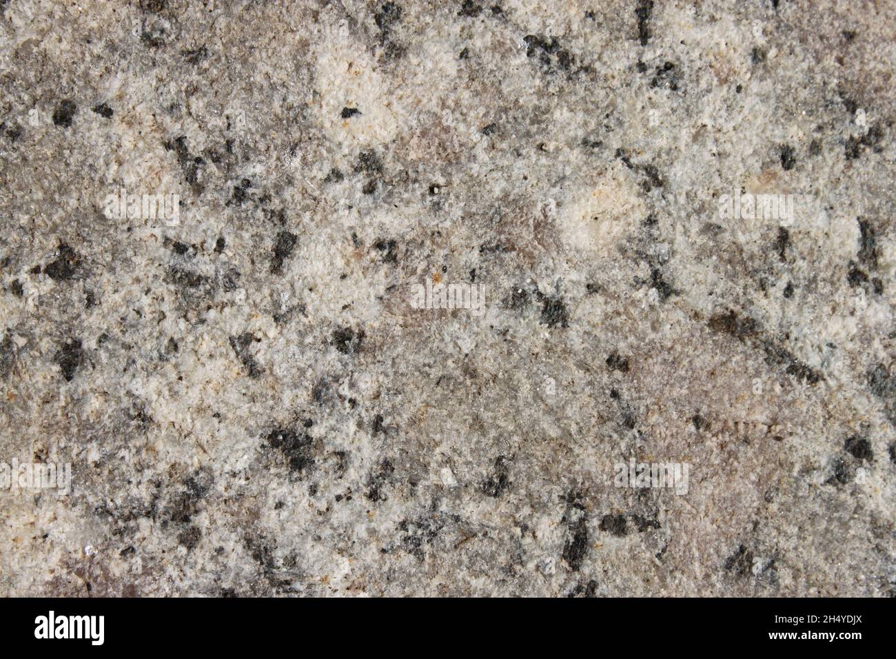 gray granite stone slab close up Stock Photo