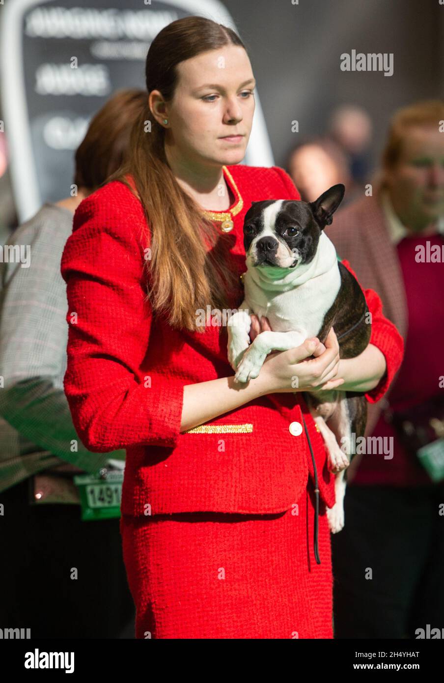 Terrier crufts dog show hi res stock photography and images Page