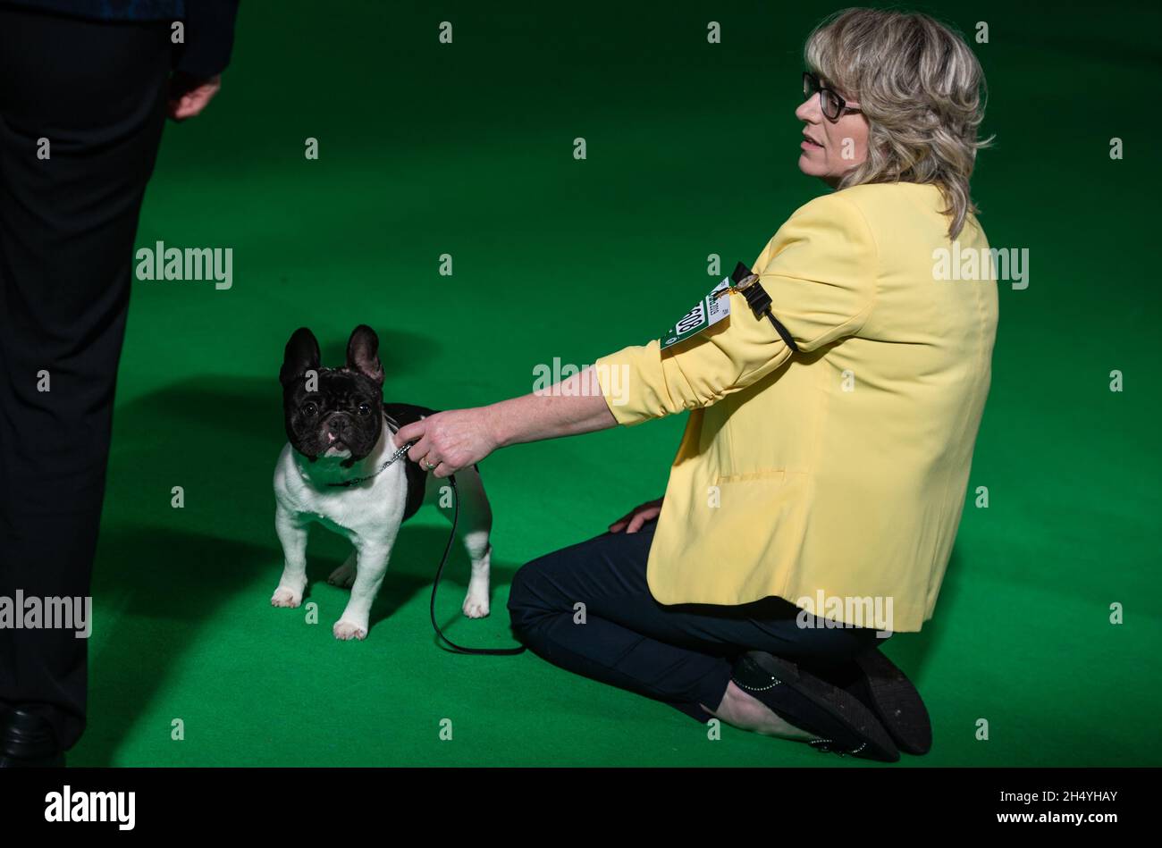 Crufts 2019 cheap day 4