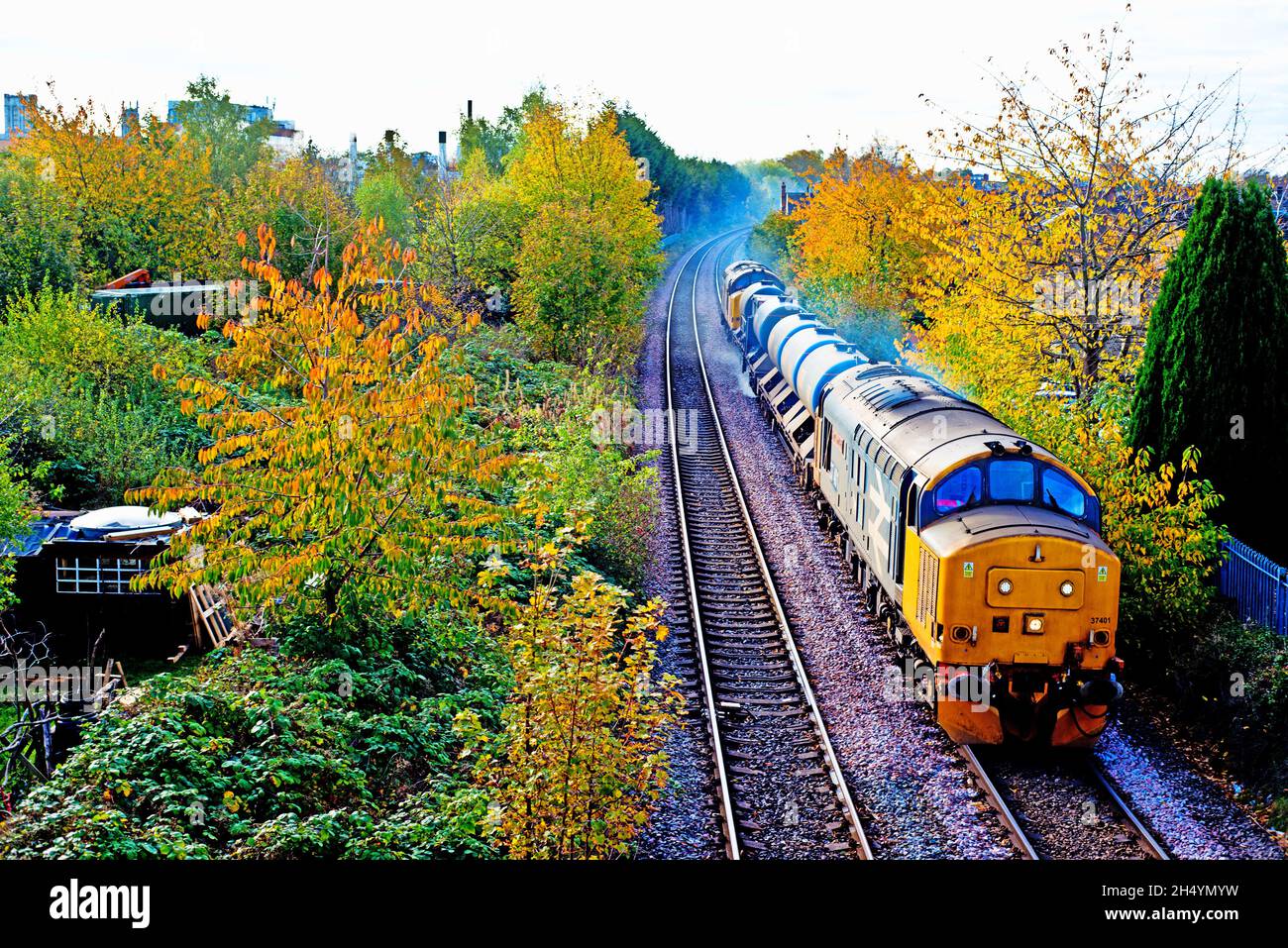Class 37401 leading the weedkilling train at Crichton Road Bridge on