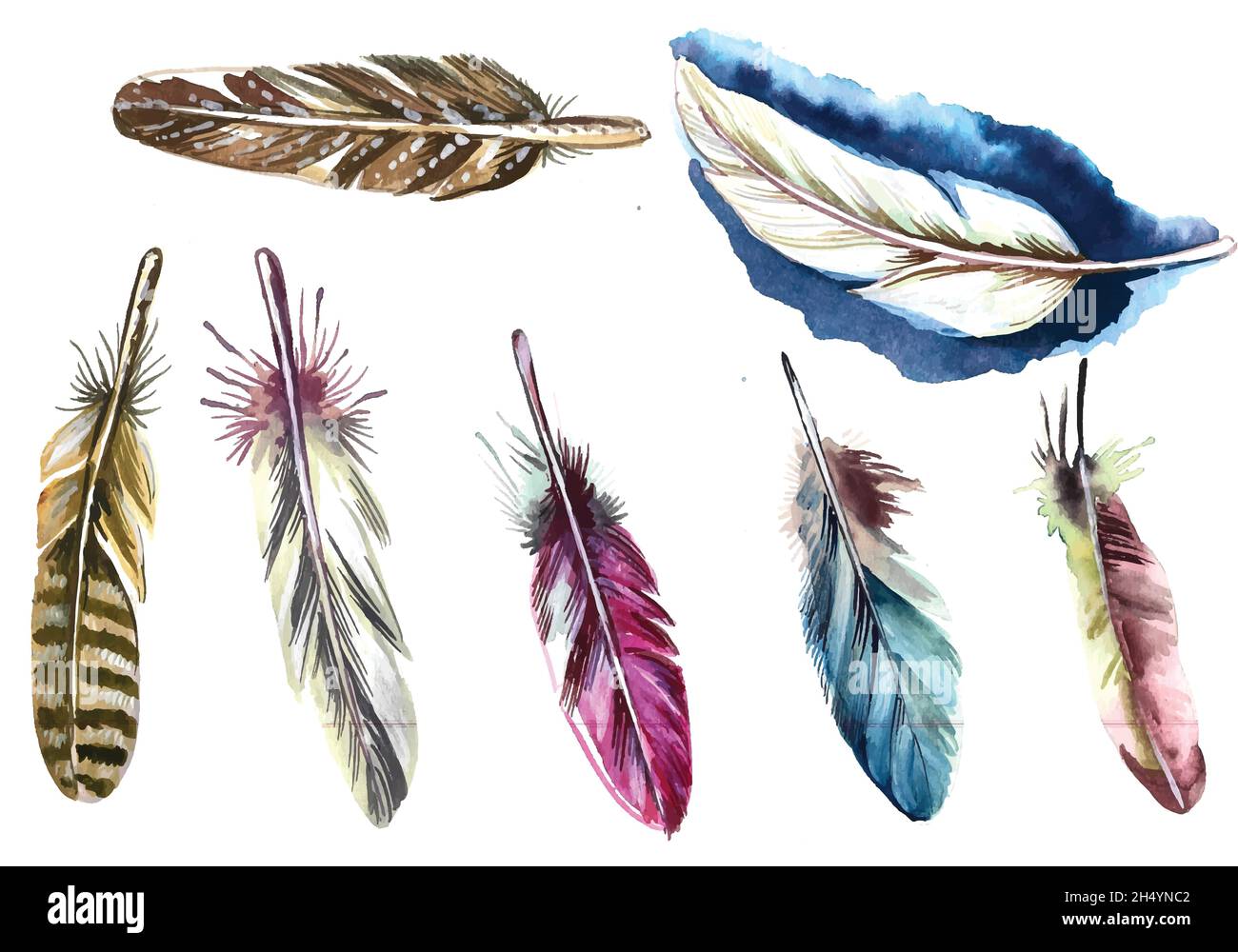 Hand drawn feathers watercolor set on white background Stock Vector ...