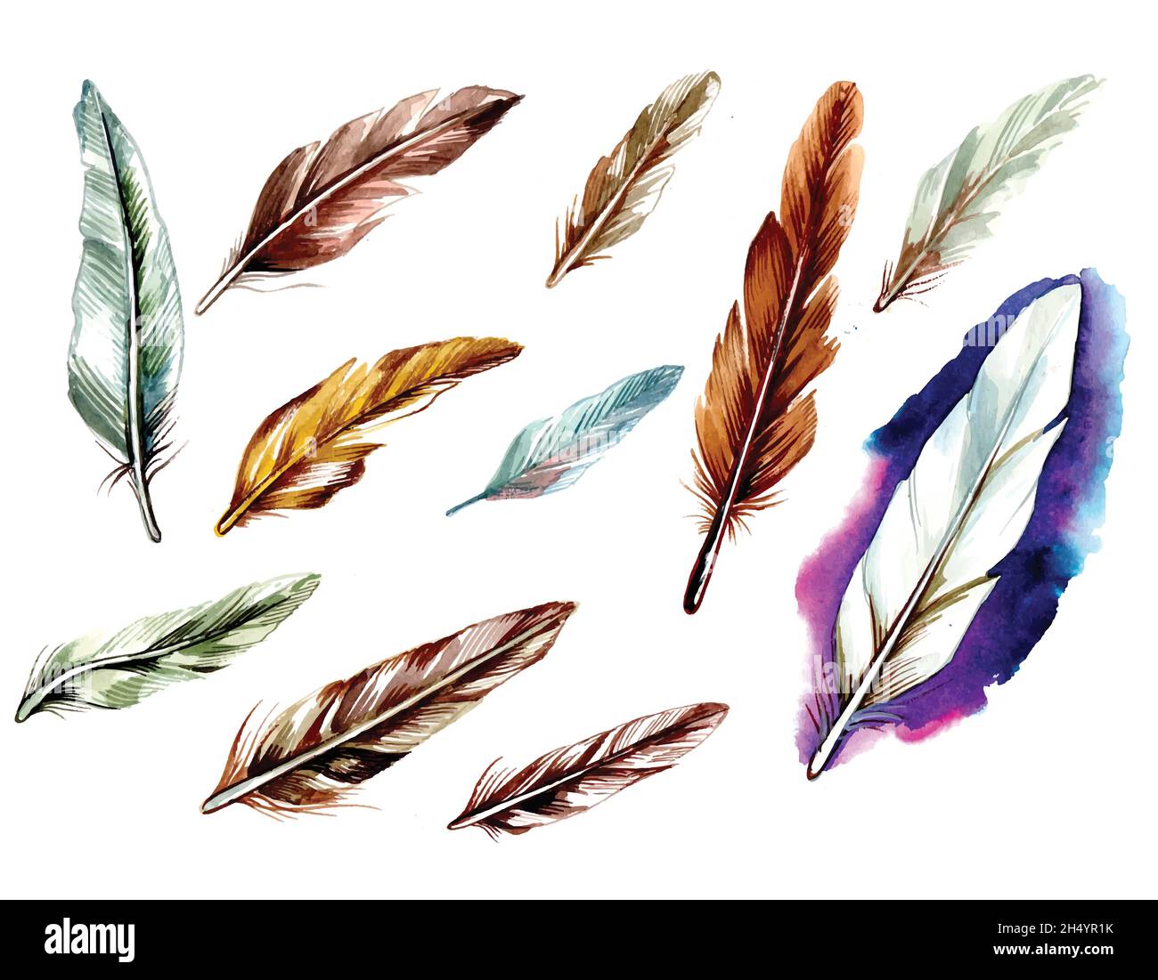 Hand drawn feathers watercolor set on white background Stock Vector ...