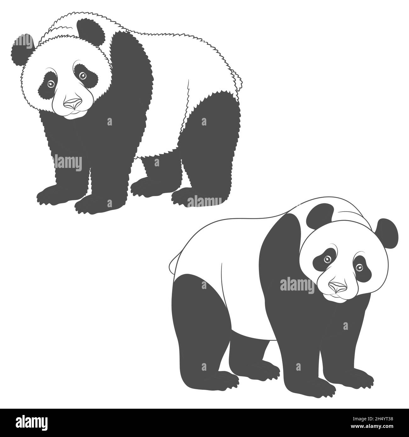 Black and white image of panda. Isolated vector objects on white background. Stock Vector