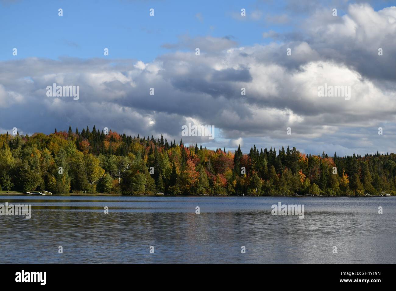 The lake in autumn Stock Photo - Alamy
