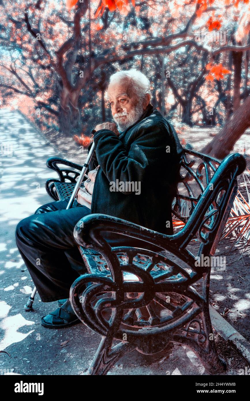 an old man sitting on a chair in a garden Stock Photo - Alamy