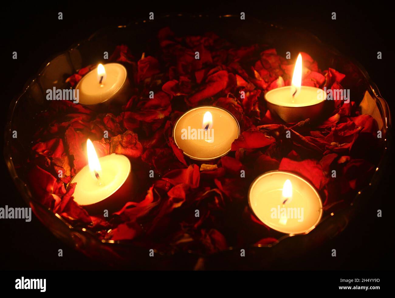 Tea light candles and red rose petals in a bowl filled with water Stock ...