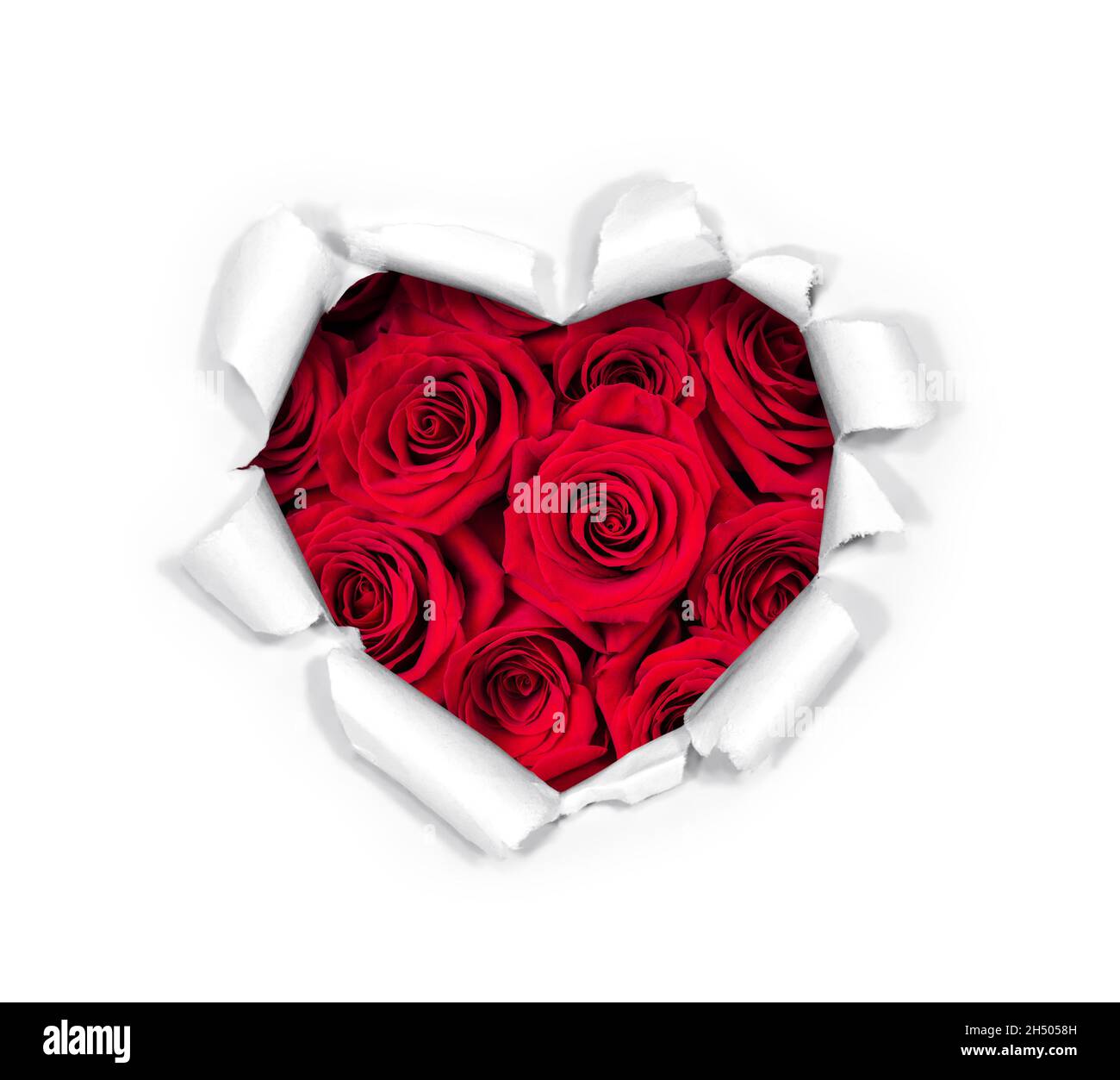 Red roses heart symbol love hi-res stock photography and images - Alamy