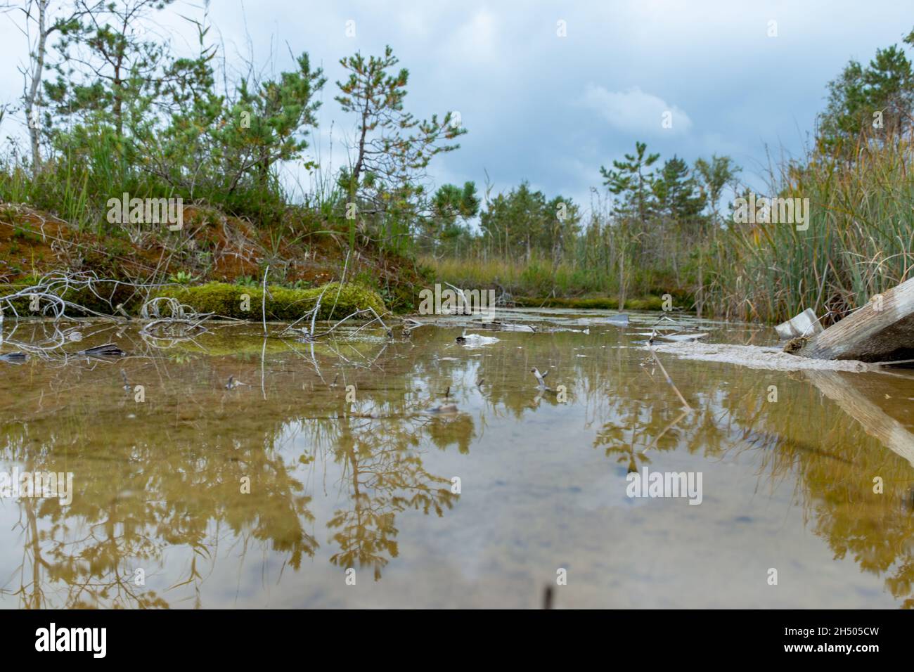 landscape with Sulfur Pond, which are water llamas formed on the ...