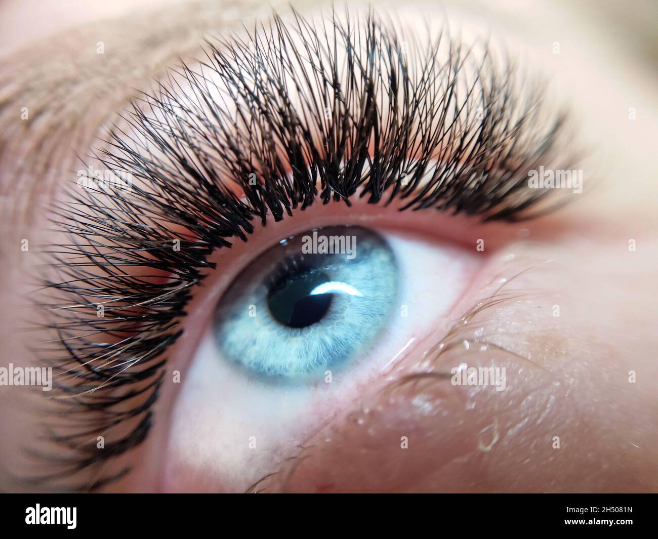 Top eyelash extensions deals