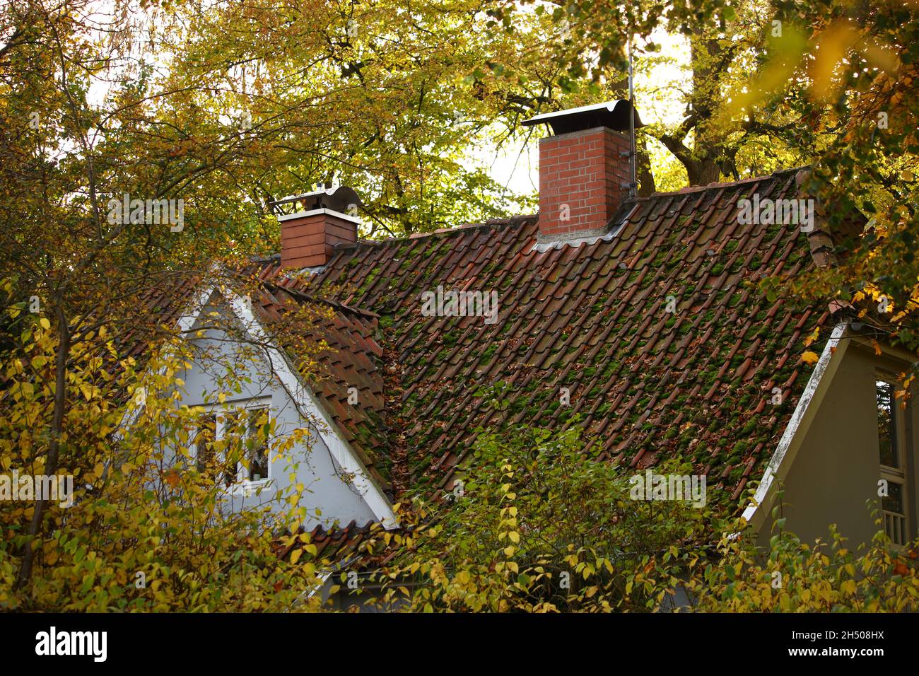 roof with dormer of a house amidst trees Stock Photo
