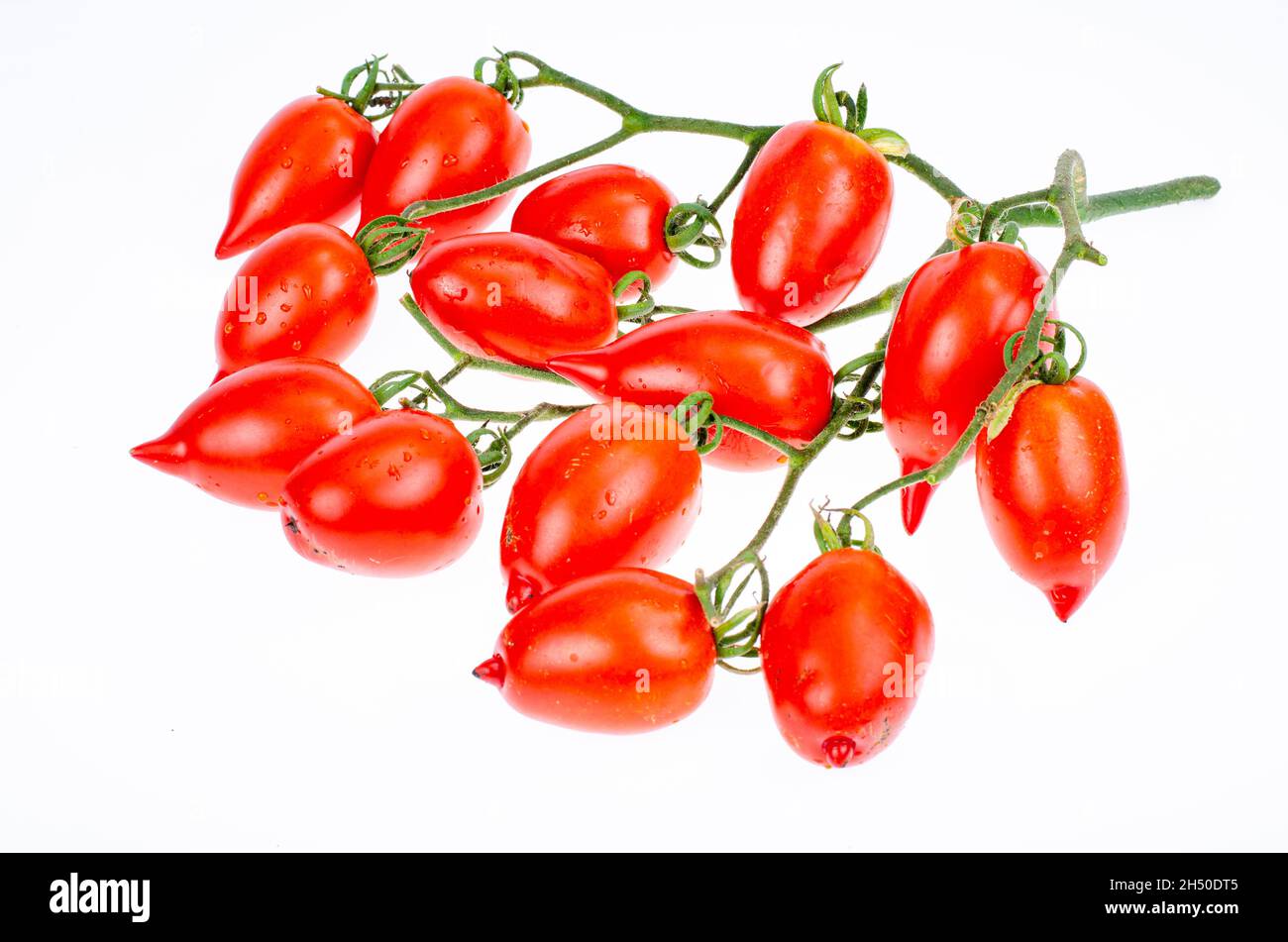 https://c8.alamy.com/comp/2H50DT5/branch-of-ripe-red-elongated-tomatoes-studio-photo-2H50DT5.jpg