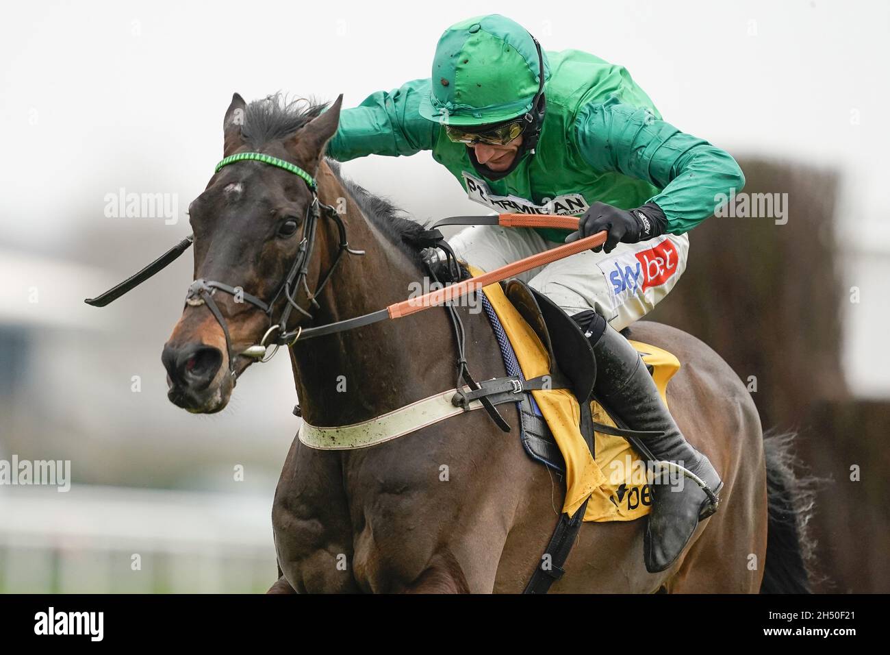 File photo dated 21-02-2021 of Sceau Royal ridden by jockey Daryl Jacob. Alan King has hailed Sceau Royal as a 'legend' as the nine-year-old goes in search of a third win in the Unibet Elite Hurdle at Wincanton. Issue date: Friday November 5, 2021. Stock Photo