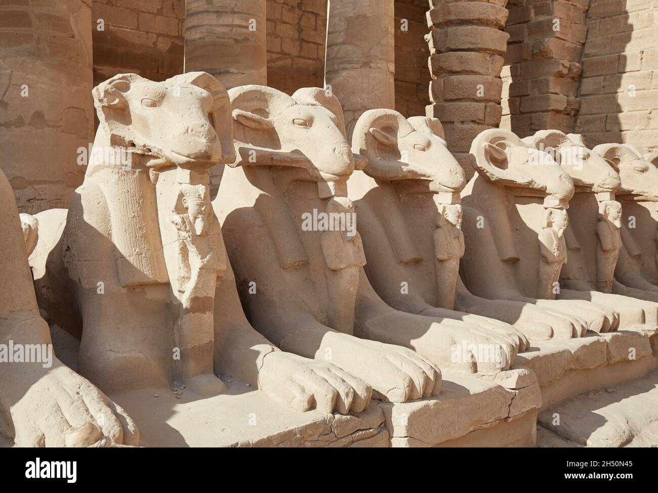 The sam-headed sphinxes, symbols of Amun, lined up at Luxor, Egypt's Karnak Temple Stock Photo