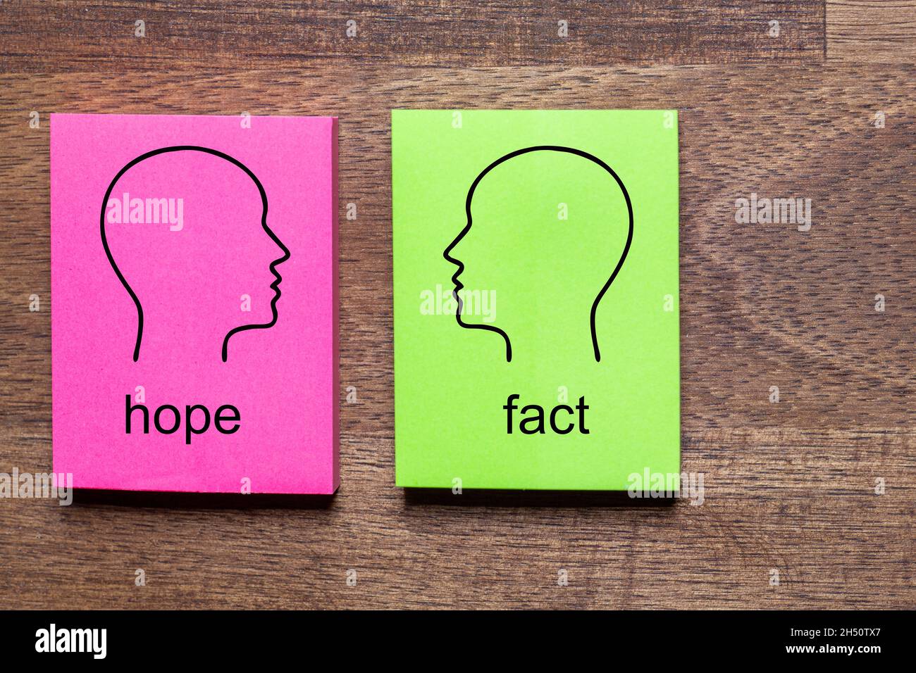 hope and contradicted fact is written on purple and green notes stickers, each with a mirrored outline of a head in black Stock Photo